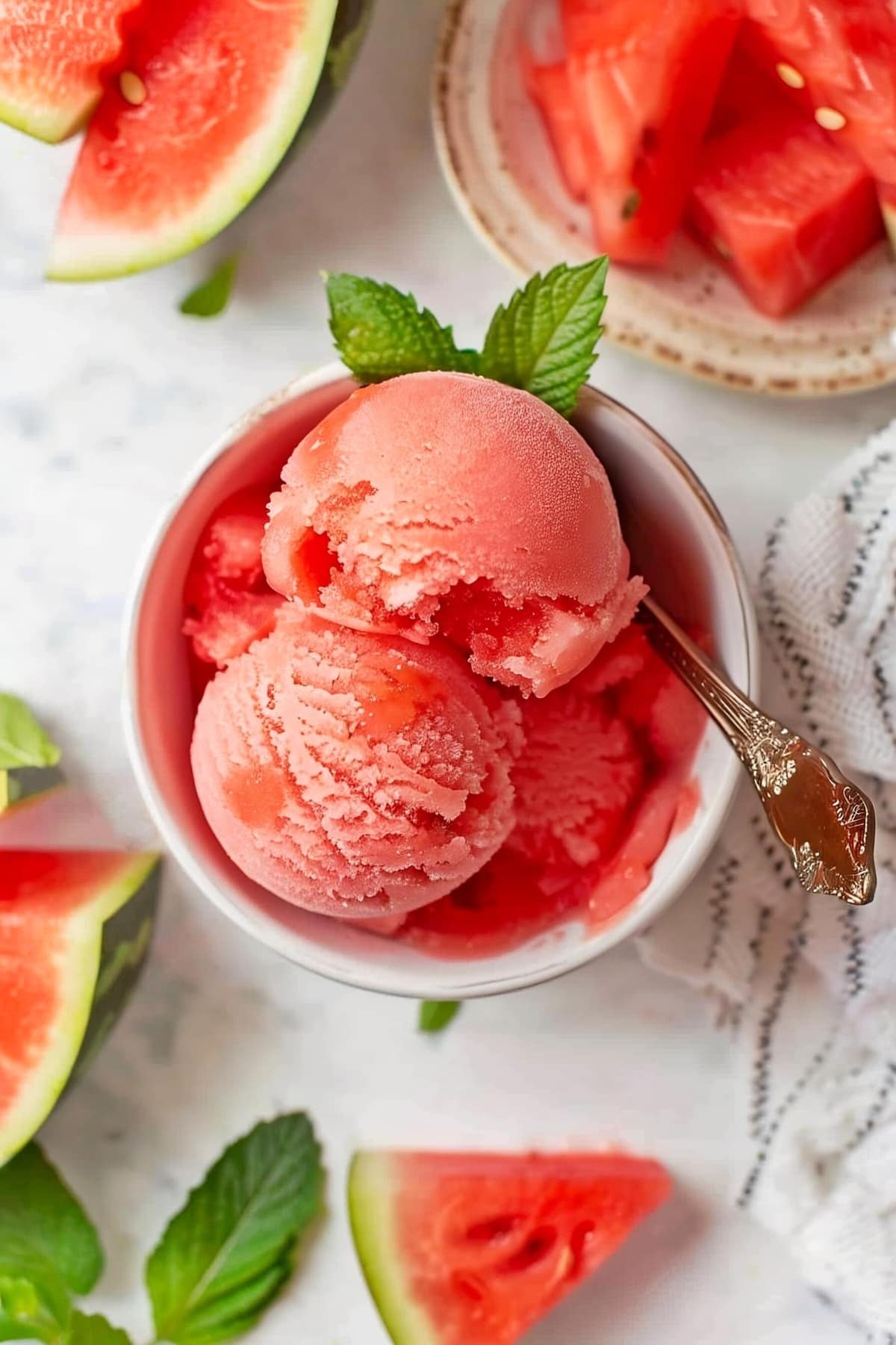 Bowl of homemade watermelon sorbet